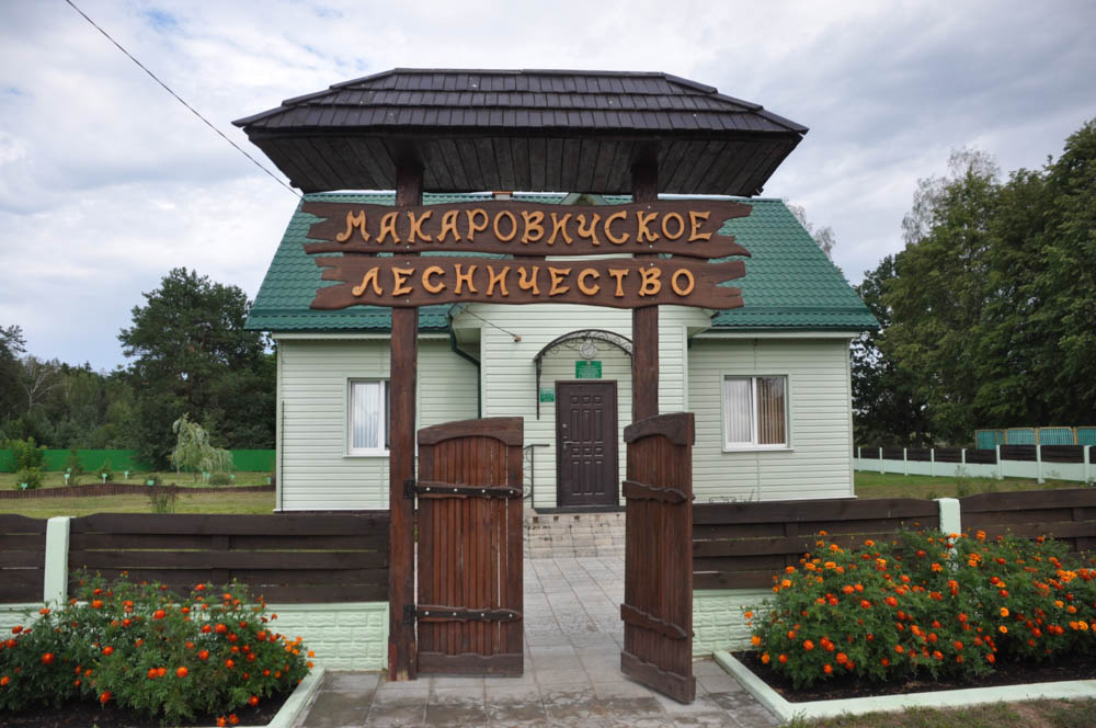 Макаровичское лесничество