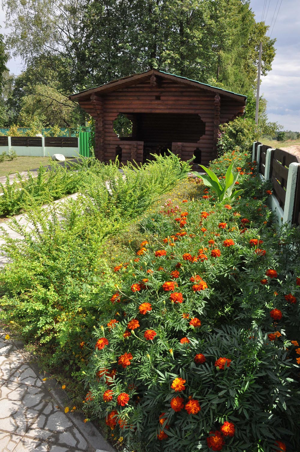 Макаровичское лесничество