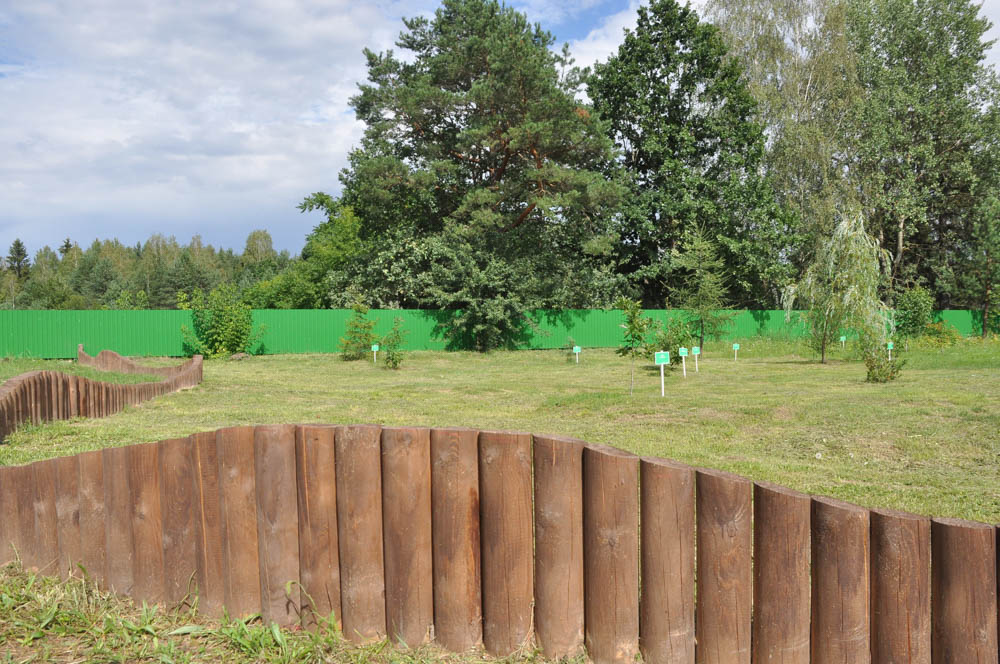 Макаровичское лесничество