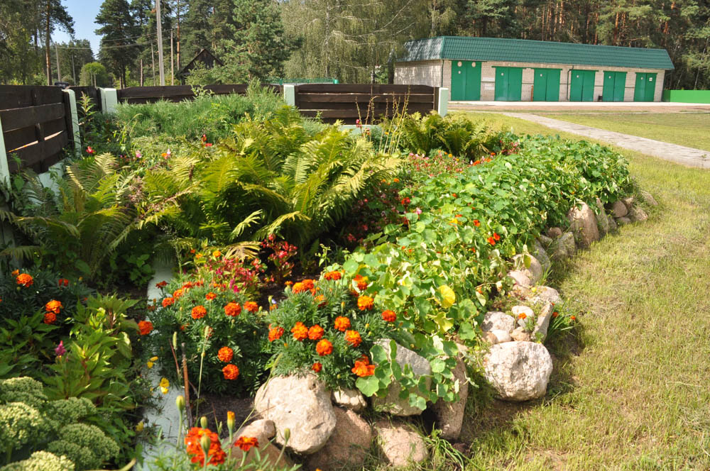 Макаровичское лесничество
